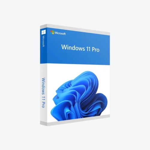Windows 11 Professional OEM Key